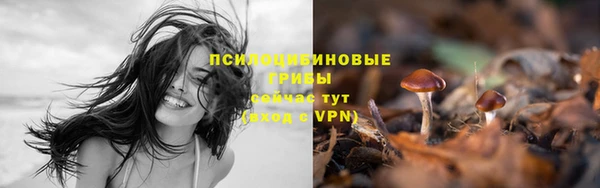кокаин колумбия Белокуриха