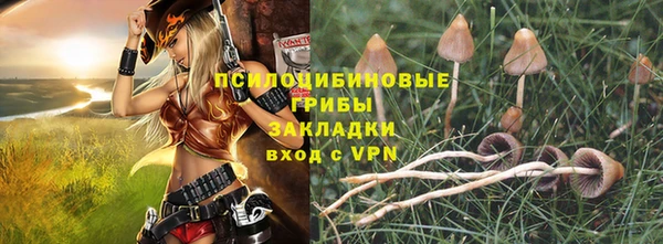 прущий лед Белоозёрский