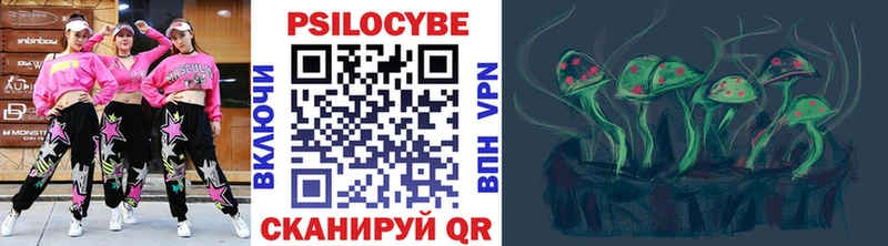 Псилоцибиновые грибы Cubensis  Верещагино 